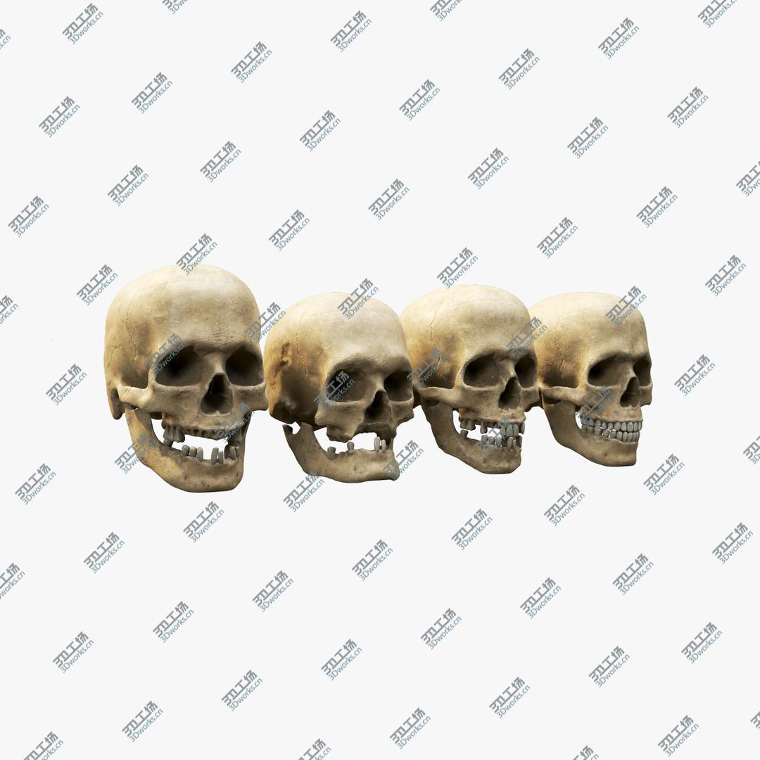 images/goods_img/2021040233/Human Skull Set 3D/1.jpg